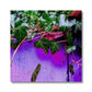Purple Ivy - Glasgow Microcosm  Eco Canvas